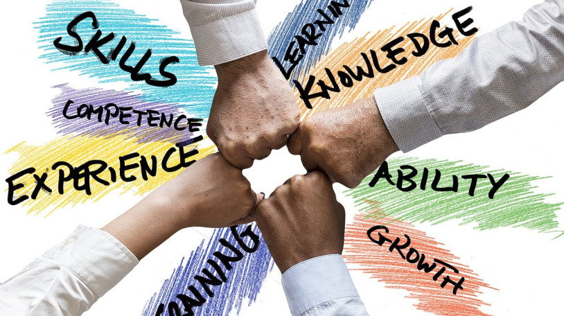 Coaching d'équipe avec le Process Communication Model®